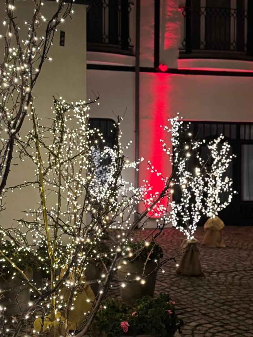 Hotel Rejs Ούστκα Εξωτερικό φωτογραφία